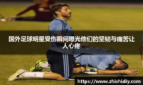 365(vip)英国上市官网